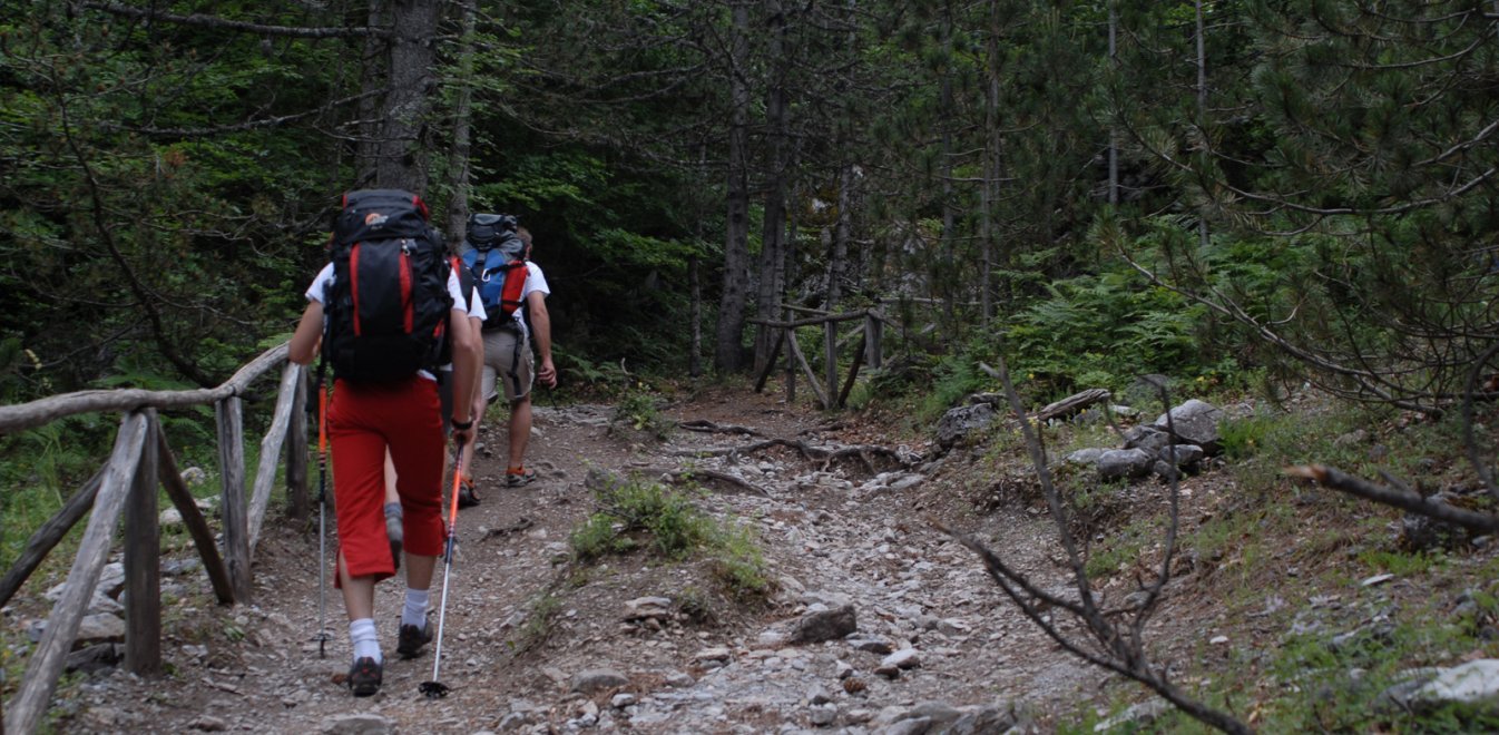 dsc_0264.jpg dsc_0264.jpg