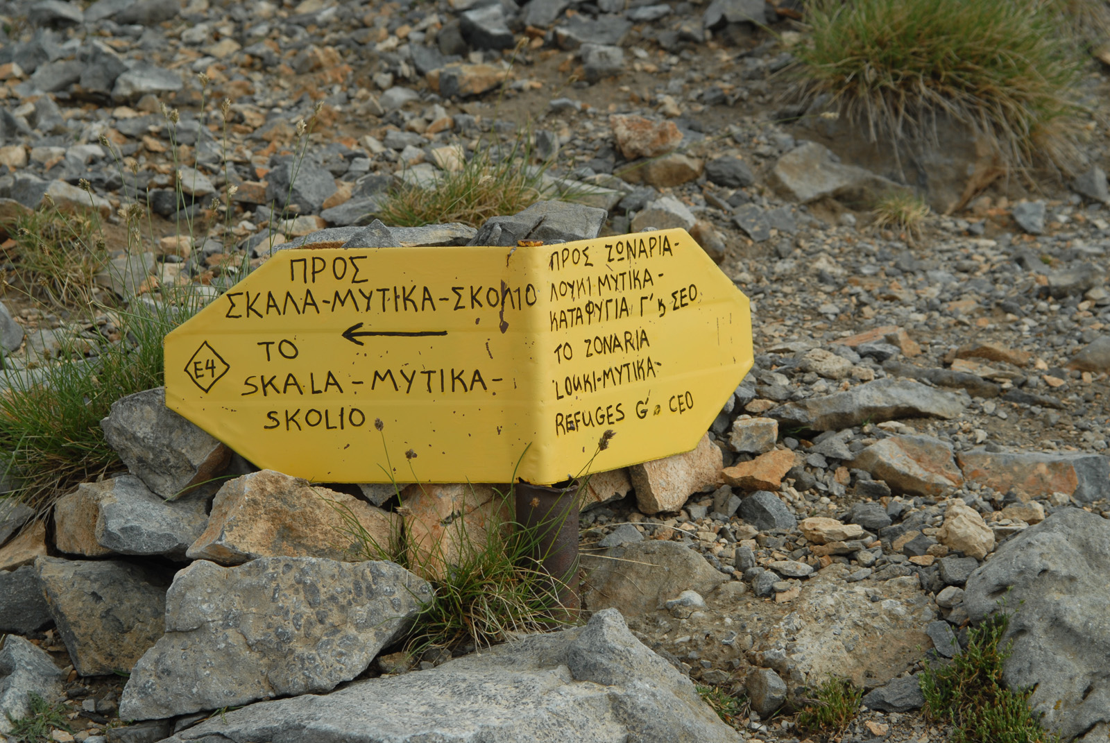 dsc_0334.jpg dsc_0334.jpg