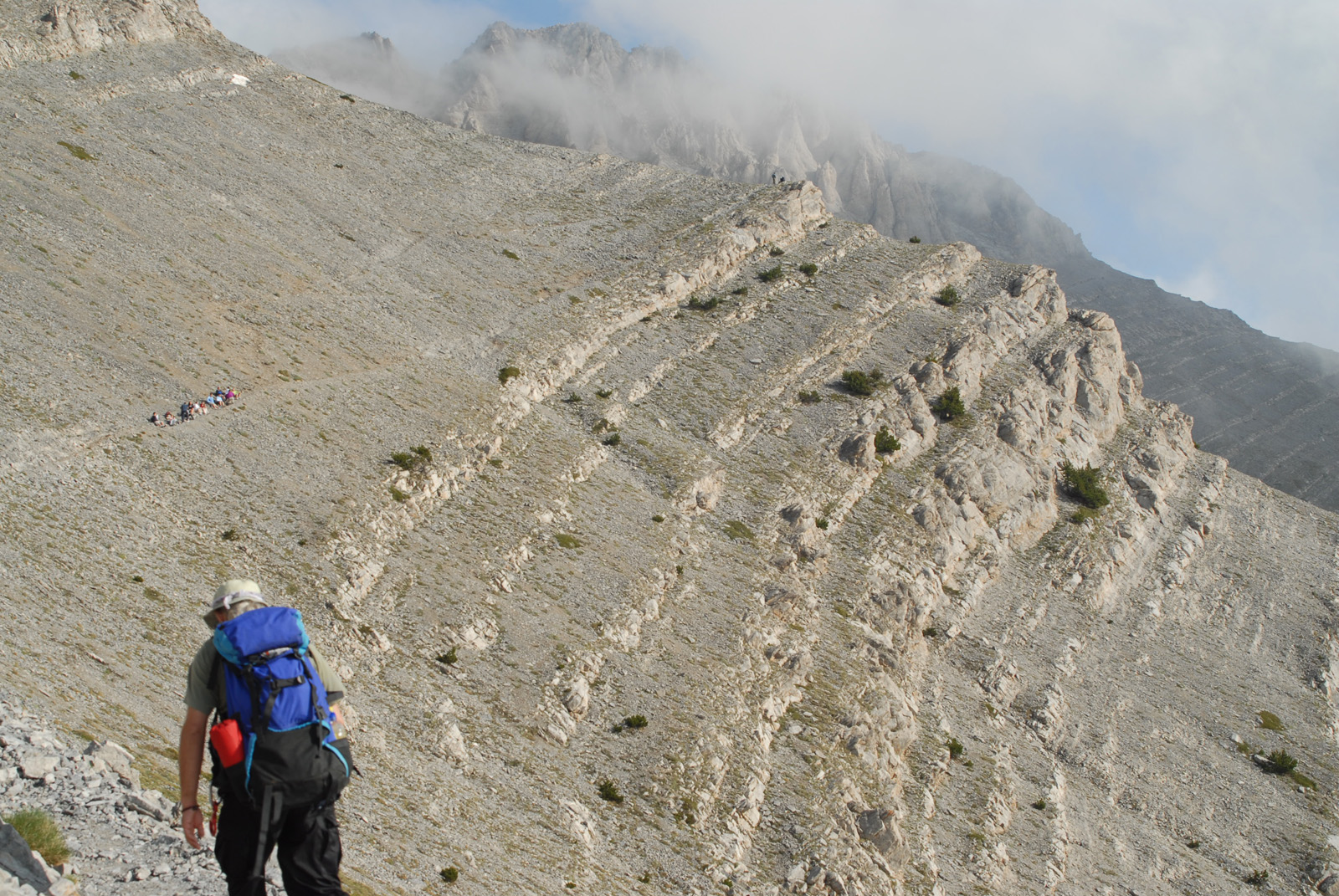dsc_0344.jpg dsc_0344.jpg