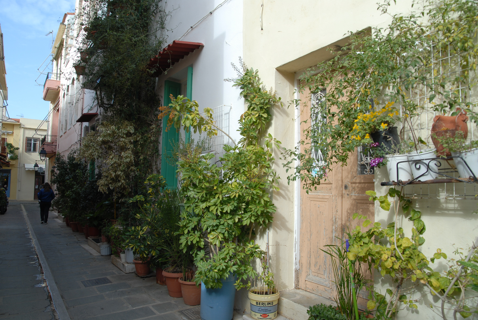 dsc_0384.jpg dsc_0384.jpg