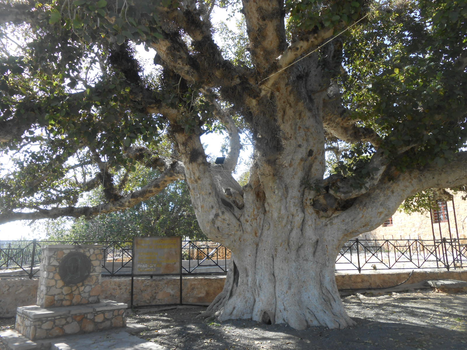 dscn9616.jpg