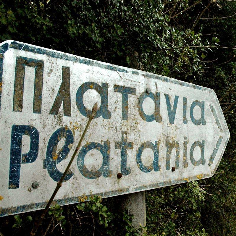 platania_1.jpg platania_1.jpg