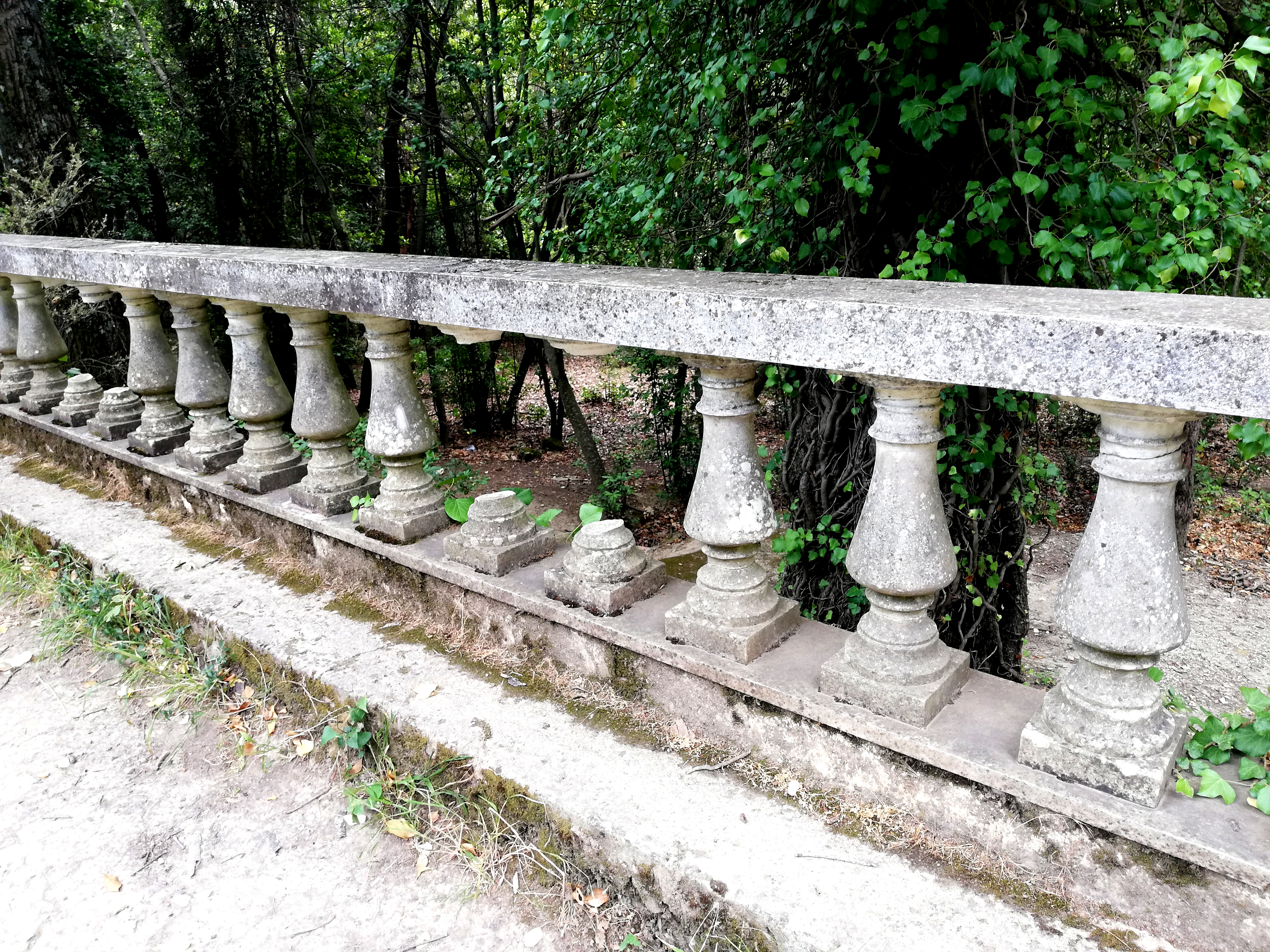 tatoi_14.jpg Τατόι
