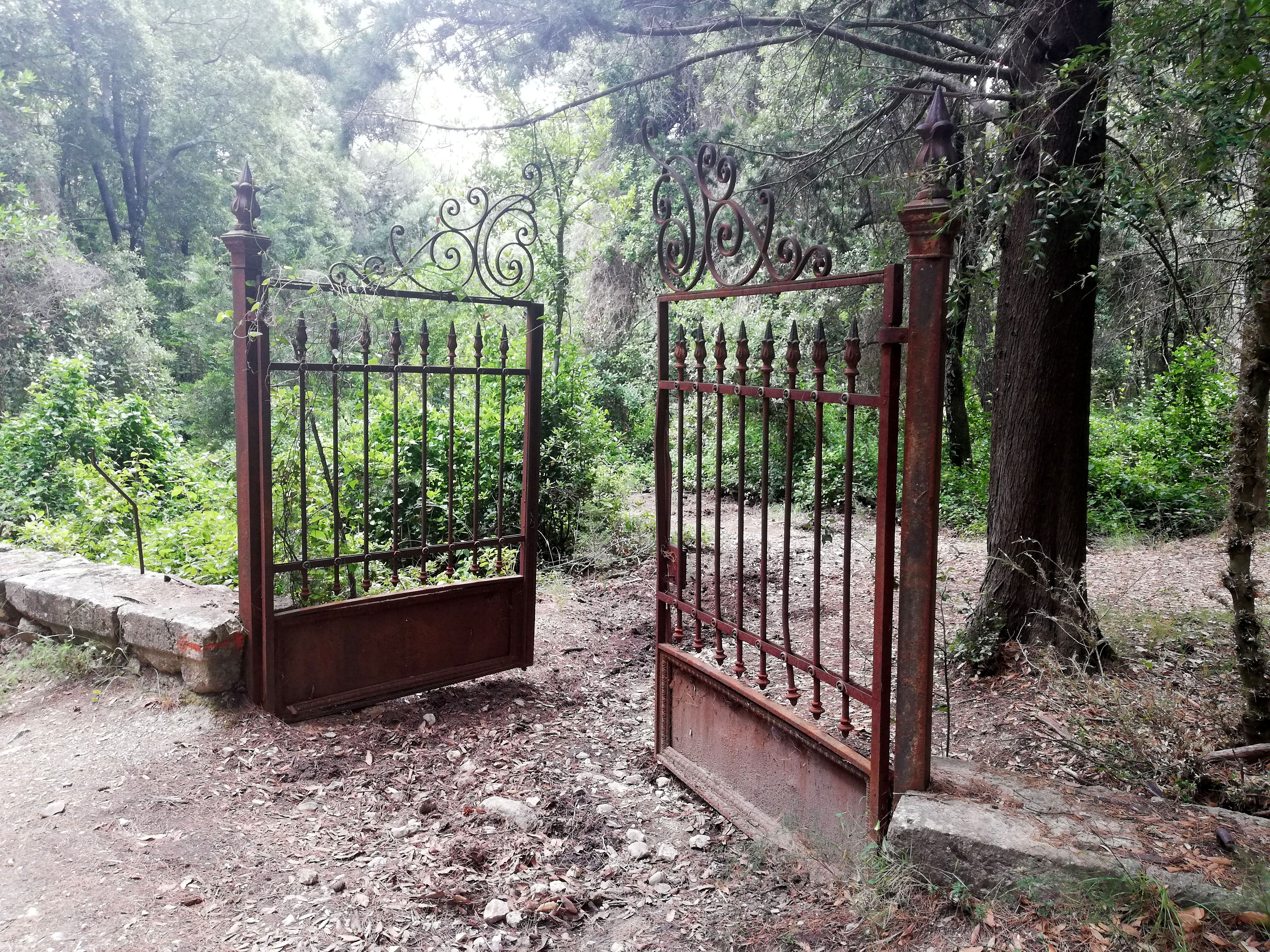 tatoi_24.jpg Τατόι