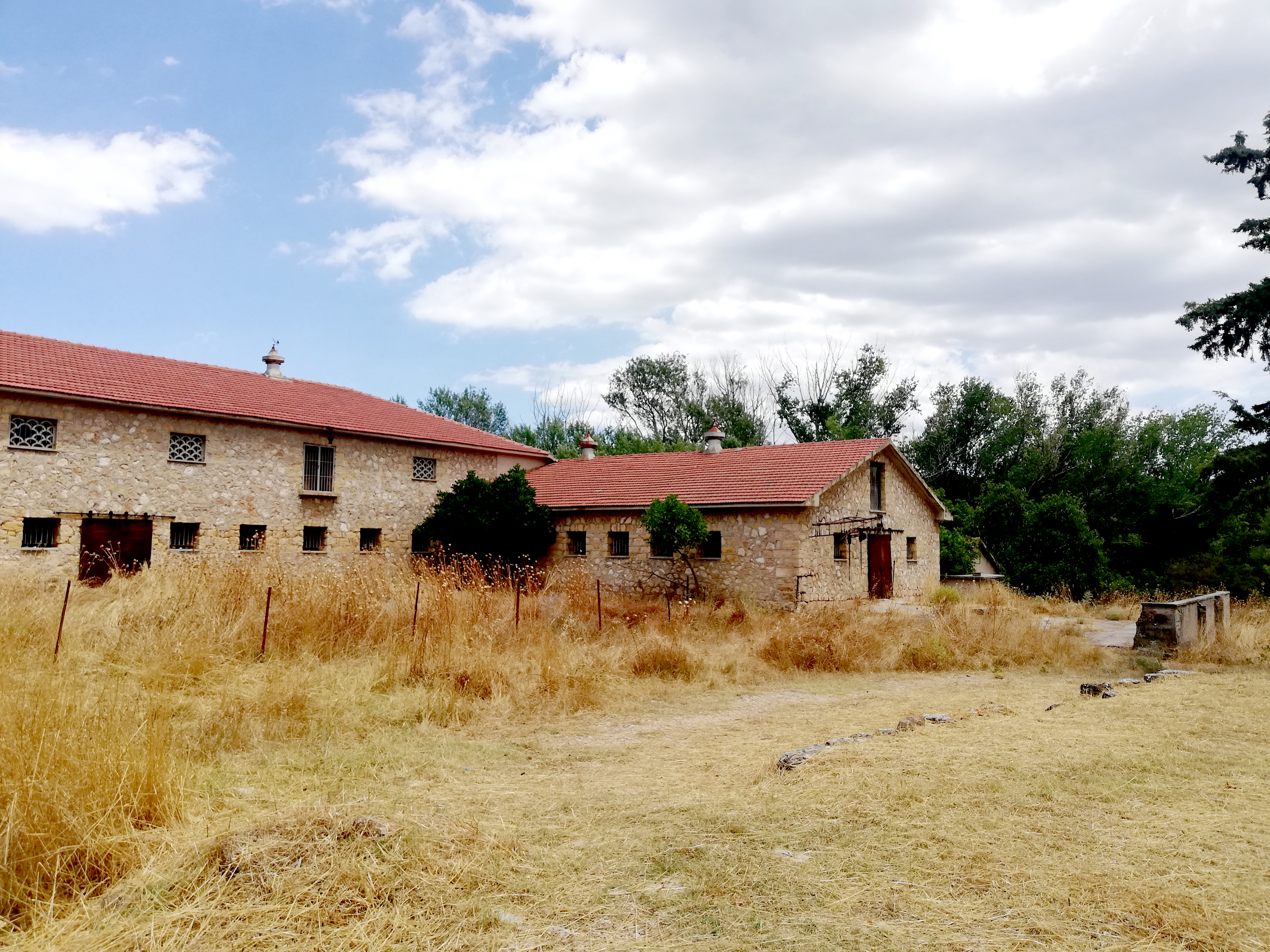 tatoi_29.jpg Τατόι