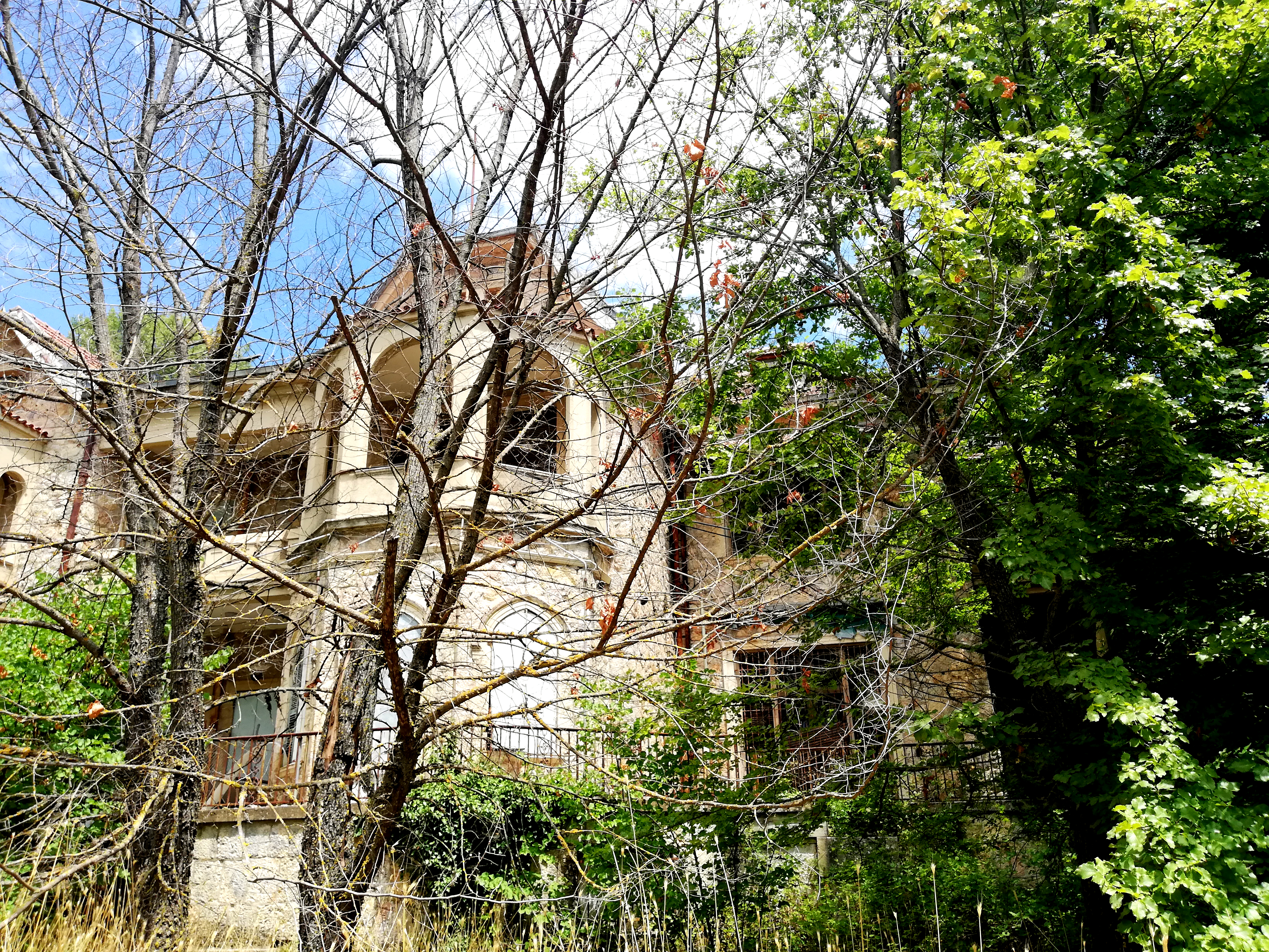tatoi_7.jpg Τατόι