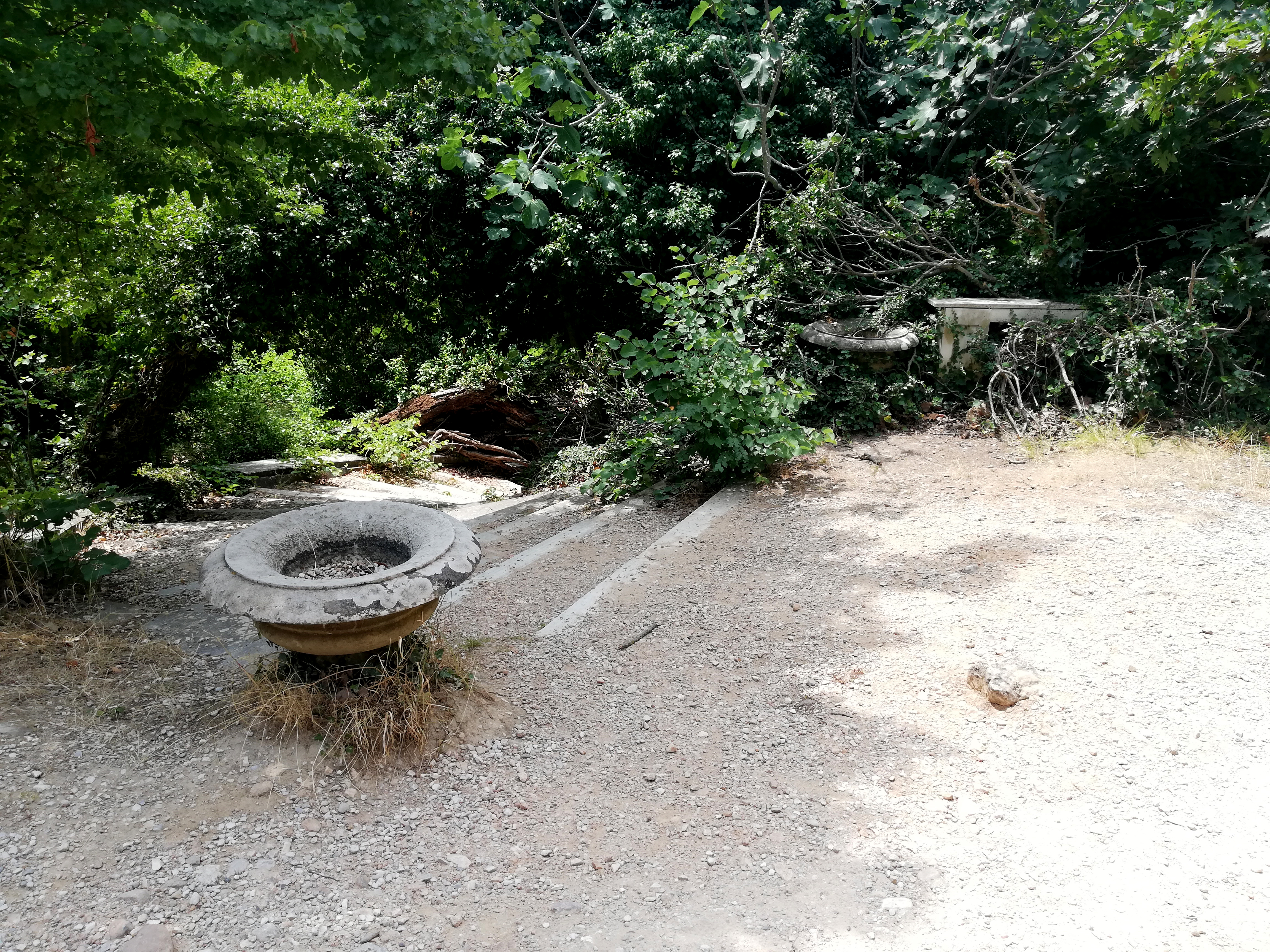 tatoi_8.jpg Τατόι
