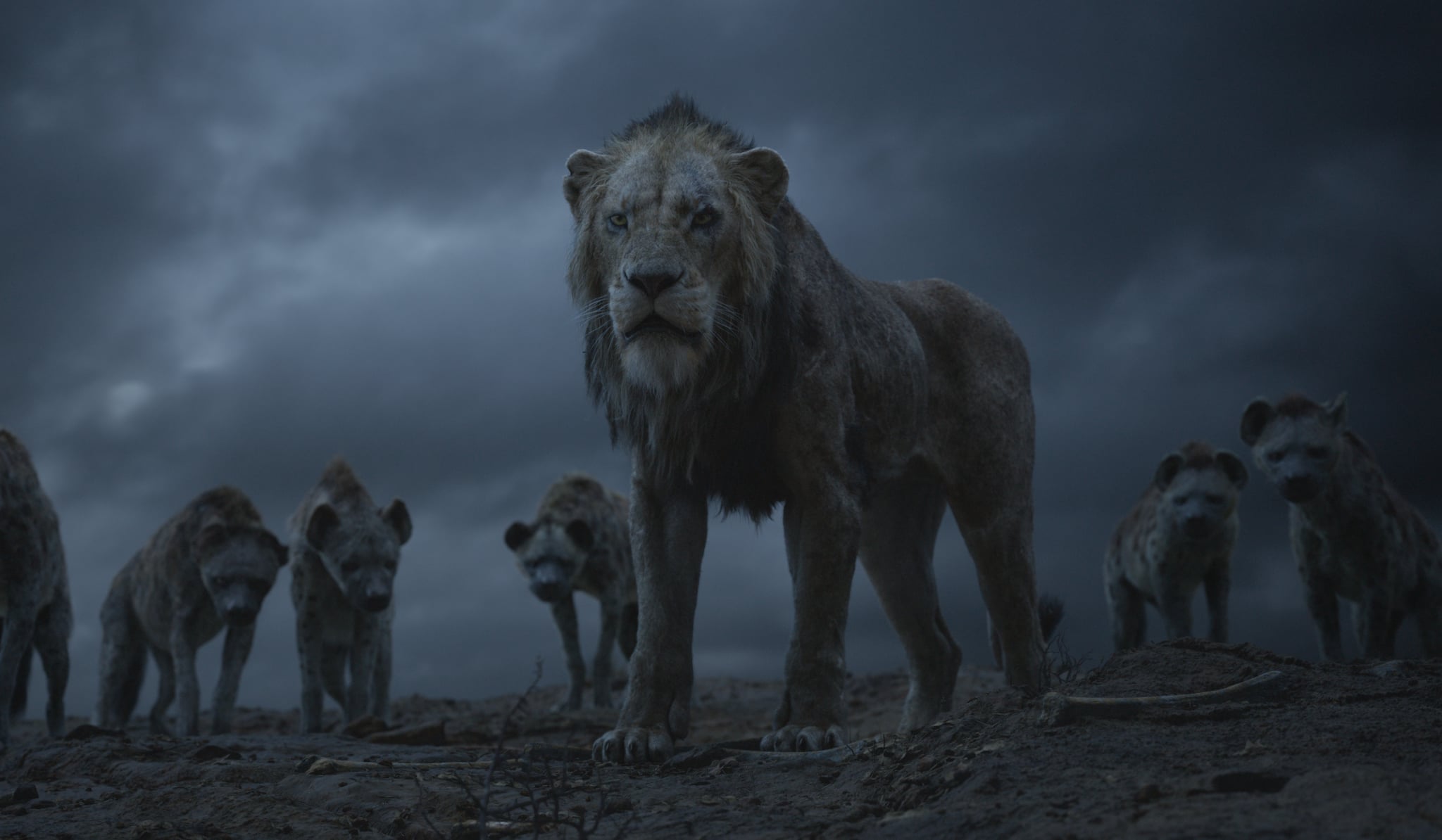 tmp_o76gfr_fd03c4b037083481_thelionking5cdf45bc2c1bb.jpg