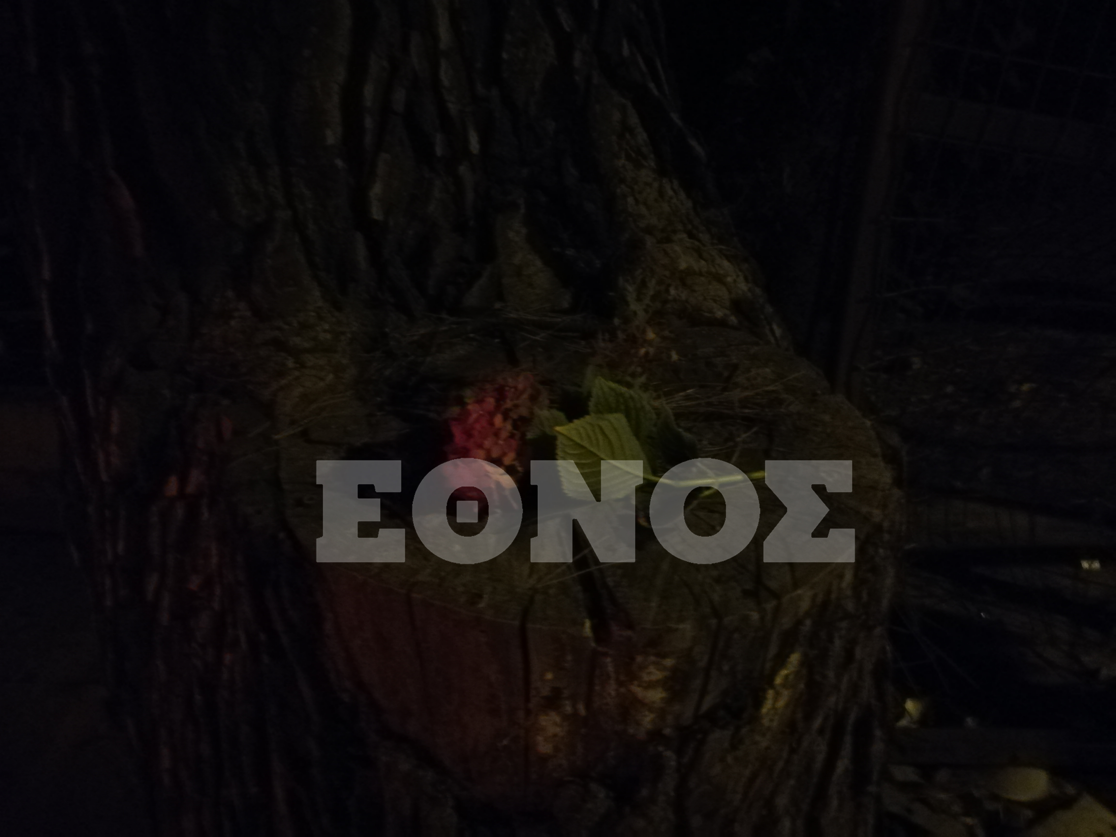 troxaio-alexandros-zaxarias4.jpg τροχαίο, Αλέξανδρος Ζαχαριάς