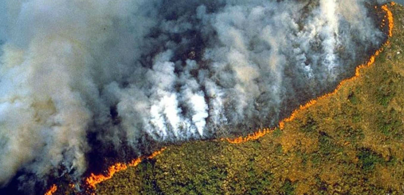 amazonia.jpg amazonia.jpg
