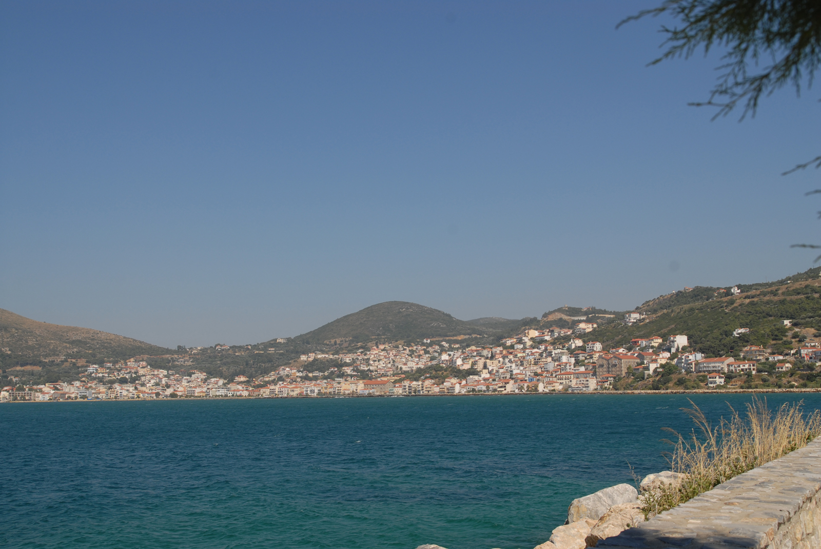 dsc_0010.jpg dsc_0010.jpg