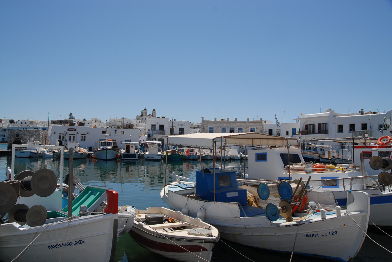 dsc_0027.jpg dsc_0027.jpg
