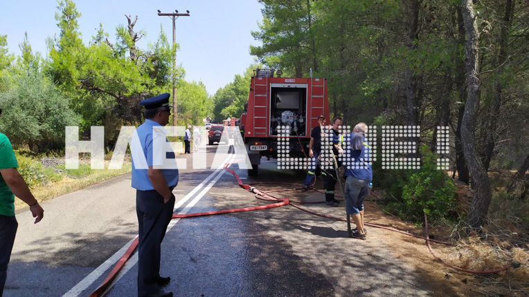 fotia-arxaia-olympia3.jpg φωτιά, Αρχαία Ολυμπία