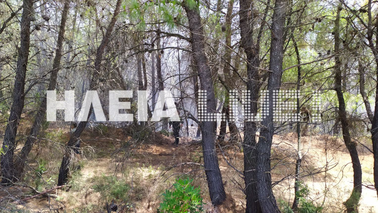 fotia-stin-arxaia-olympia2.jpg φωτιά, Αρχαία Ολυμπία