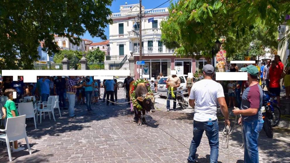 lesvos2.jpg lesvos2.jpg