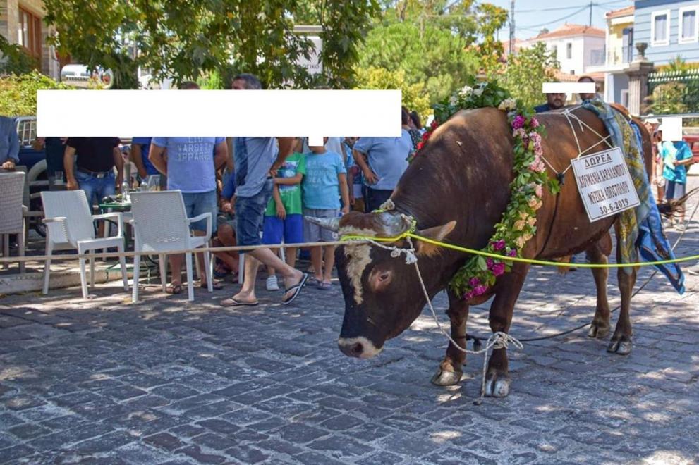 lesvos3.jpg lesvos3.jpg