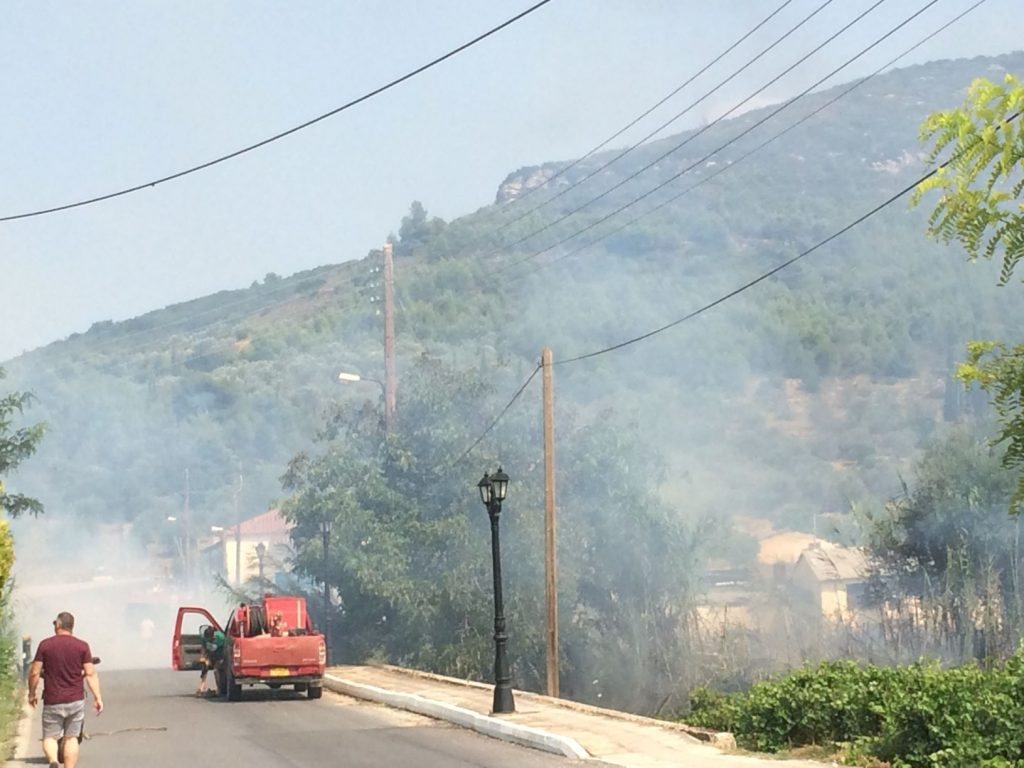 nemea_fotia_2.jpg nemea_fotia_2.jpg