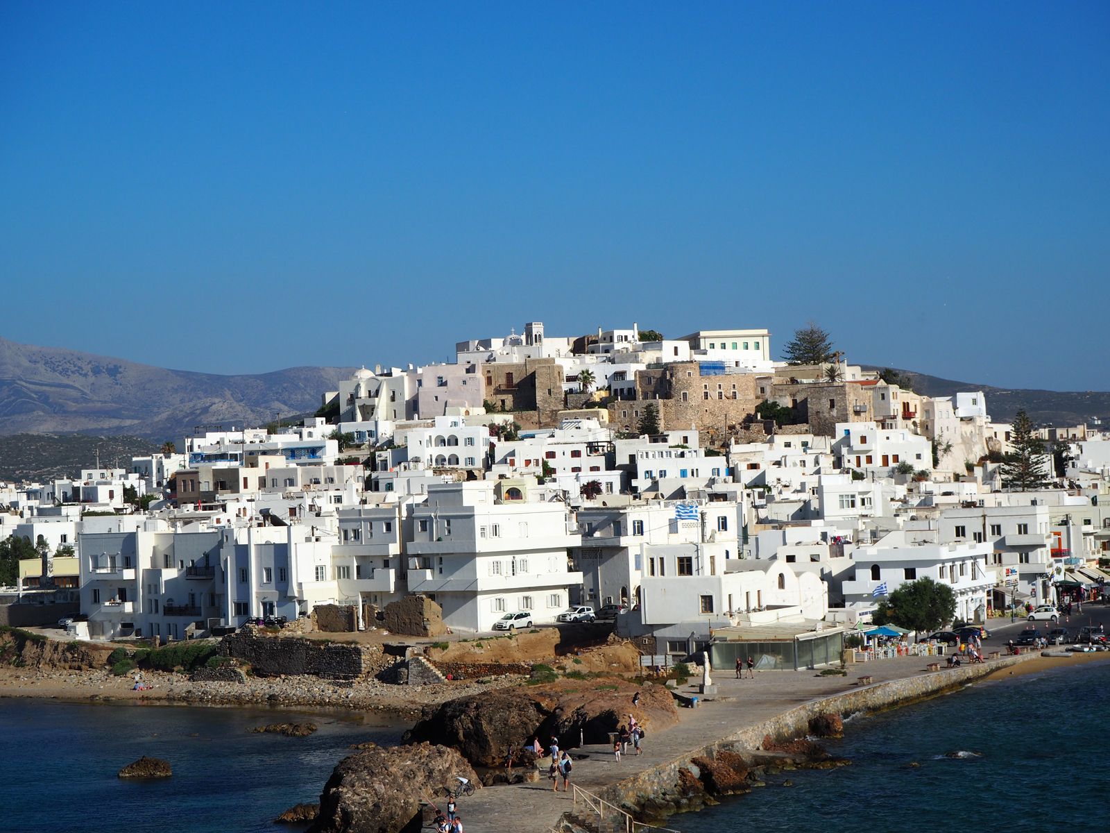 p6020847_naxos.jpg p6020847_naxos.jpg