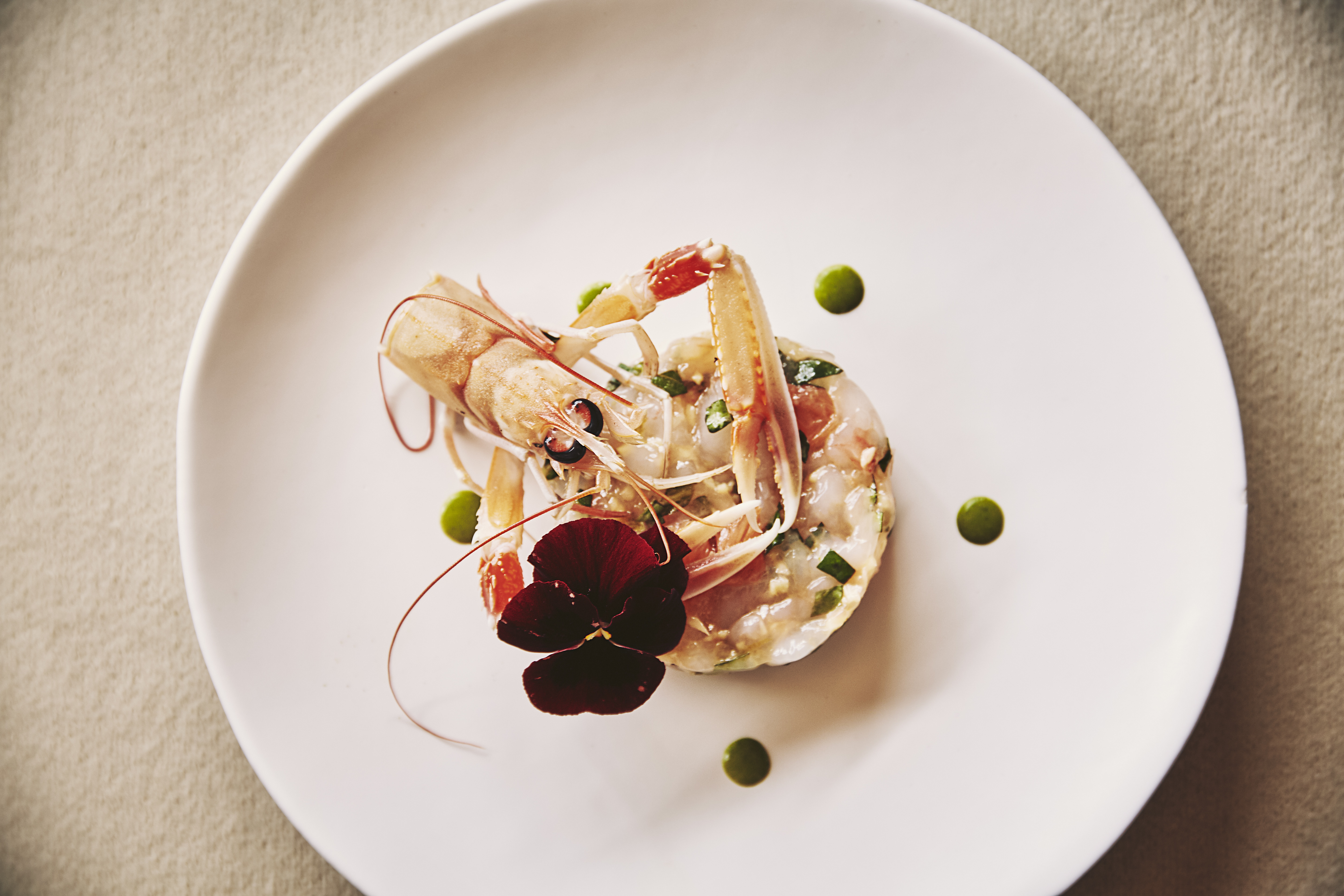 varoulko_dish_1.jpg varoulko_dish_1.jpg