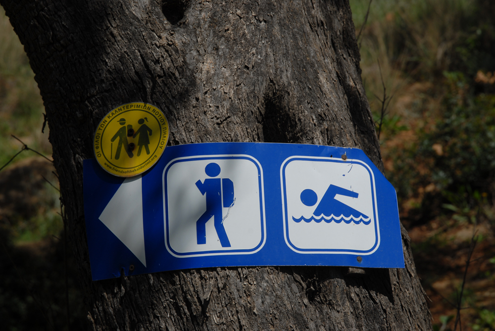 dsc_0142.jpg dsc_0142.jpg