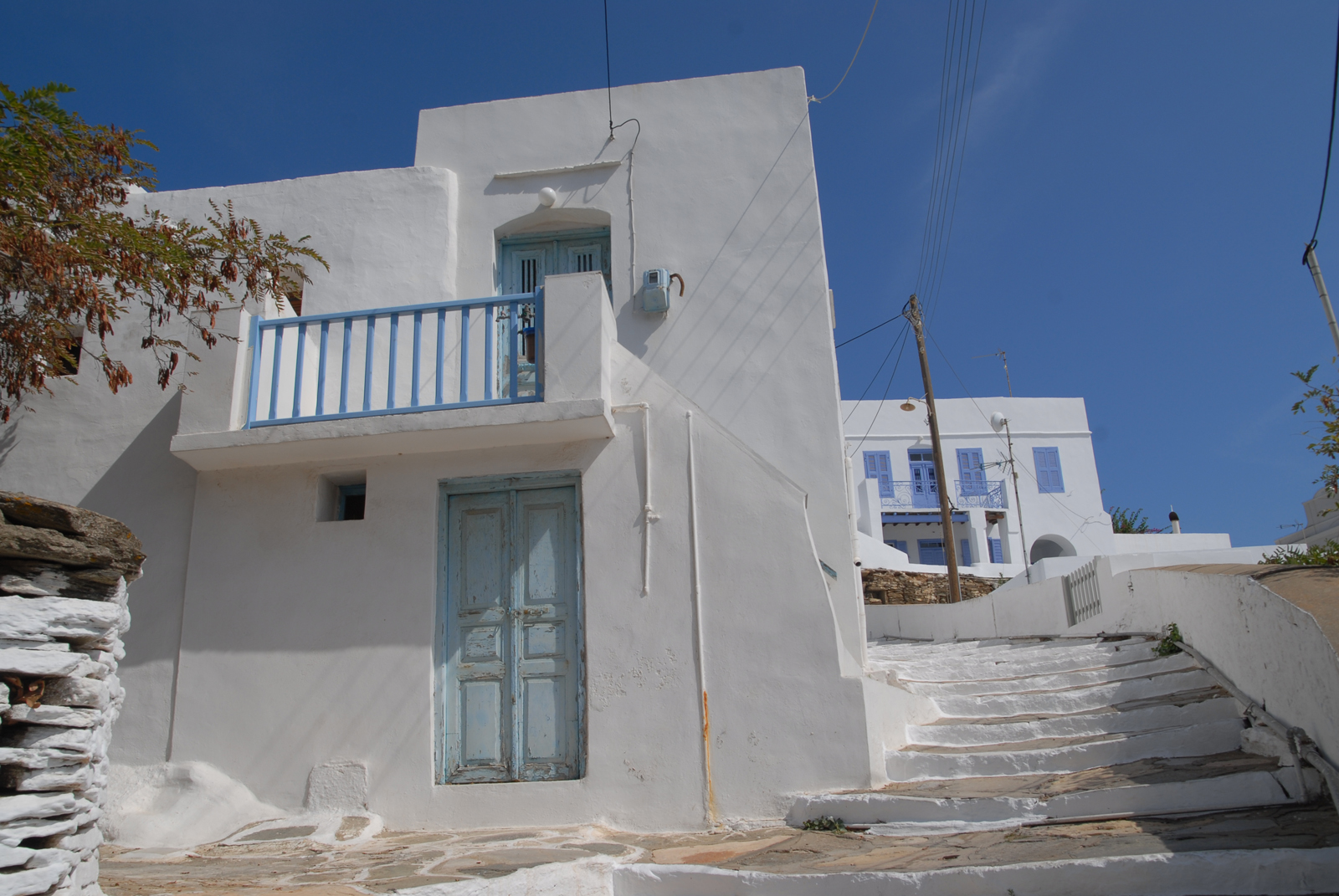 dsc_0166.jpg dsc_0166.jpg