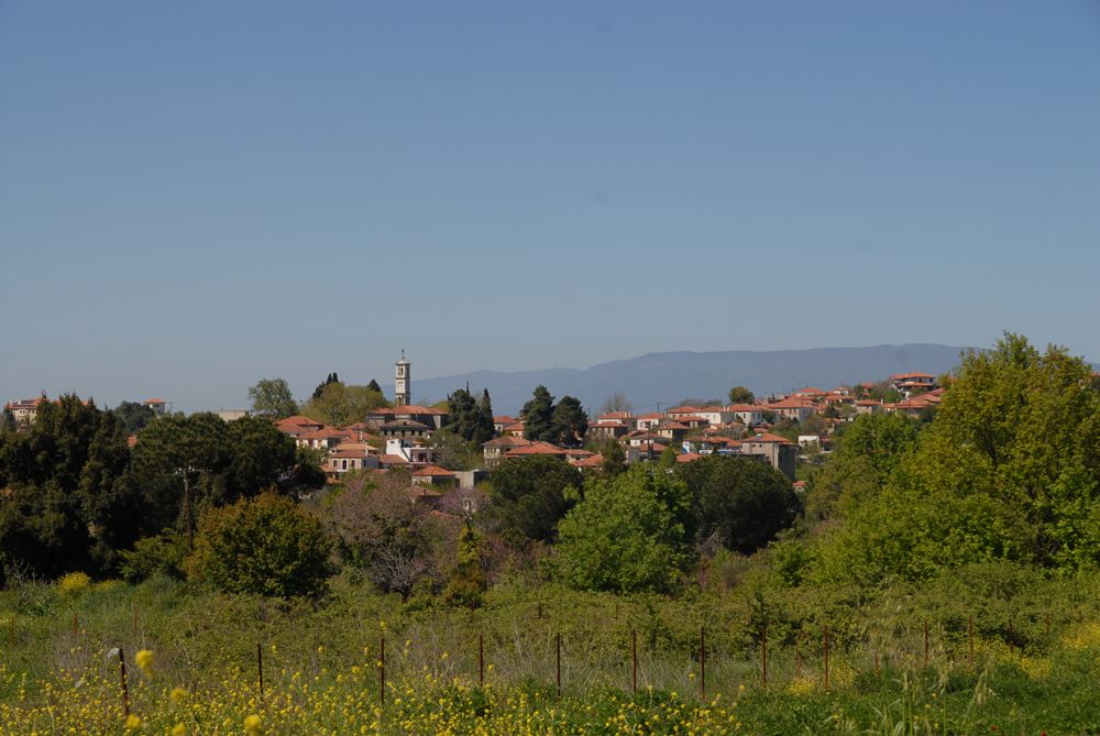 dsc_0403.jpg dsc_0403.jpg