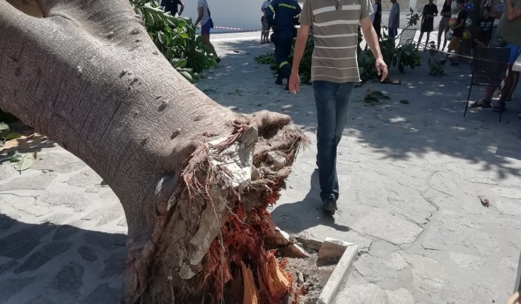 fikos2.jpg Φίκος μπροστά στην Εκατονταπυλιανή