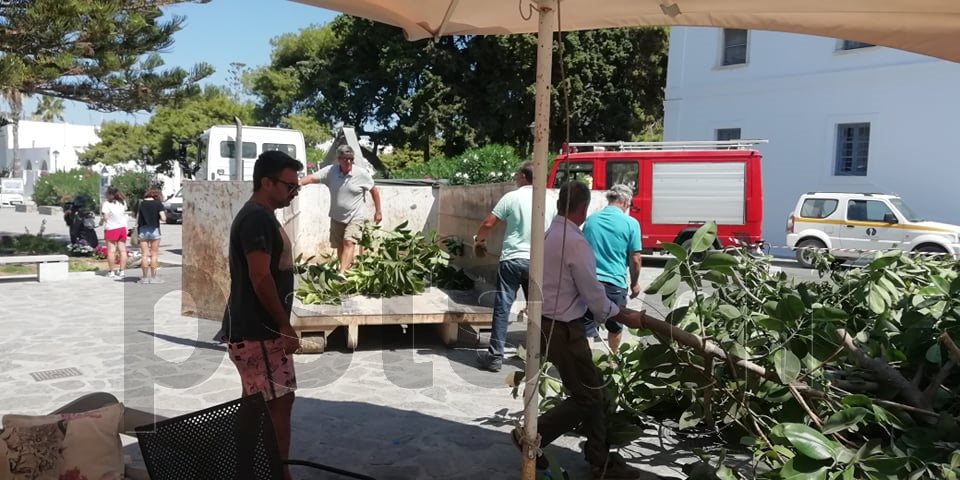 fikos3.jpg Φίκος μπροστά στην Εκατονταπυλιανή