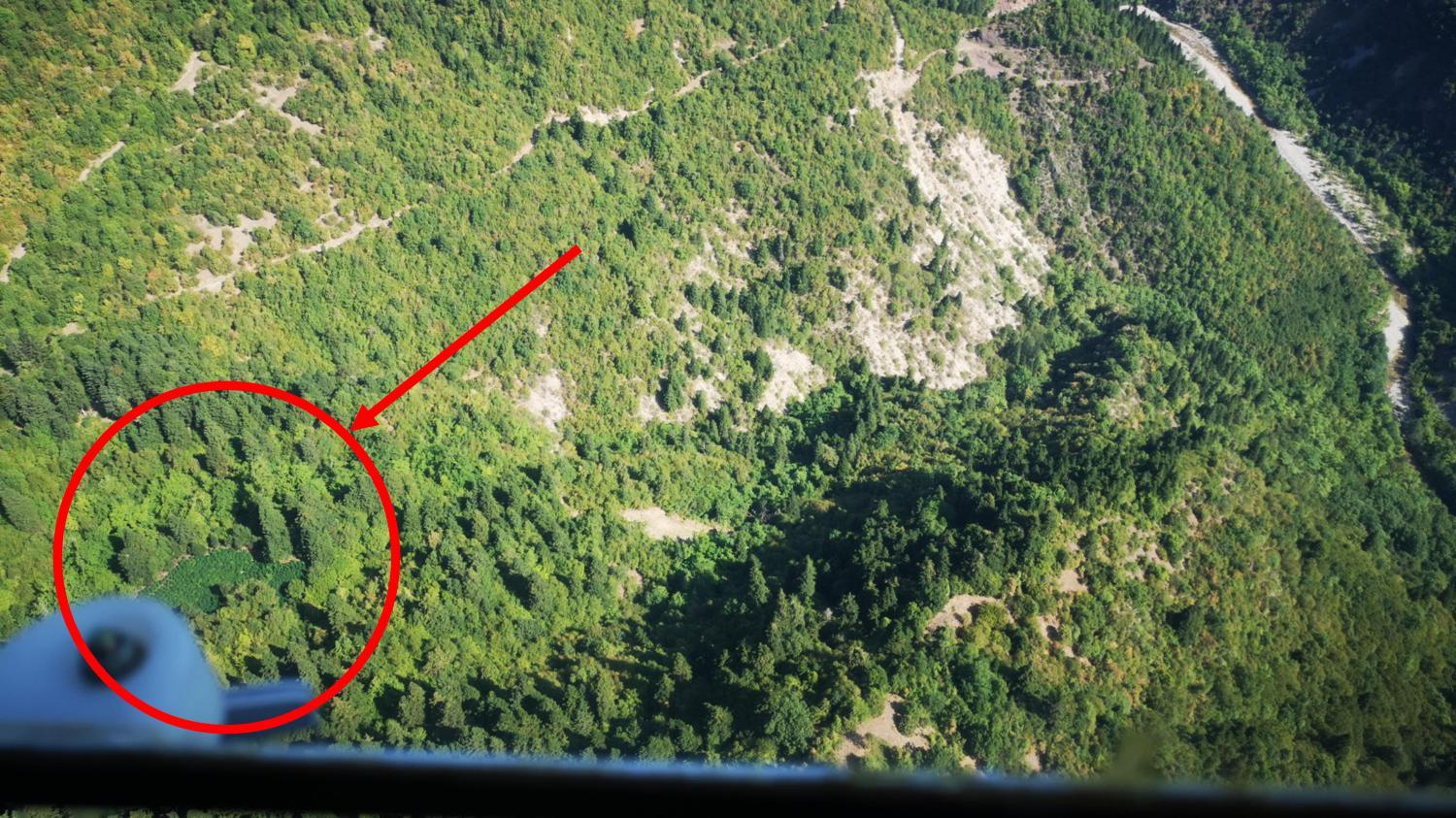hasisofyteia1.jpg hasisofyteia1.jpg