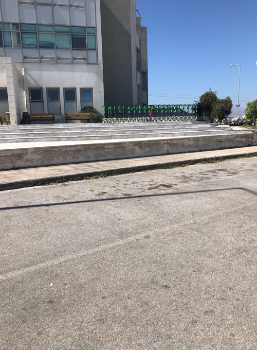 patinia.jpg patinia.jpg
