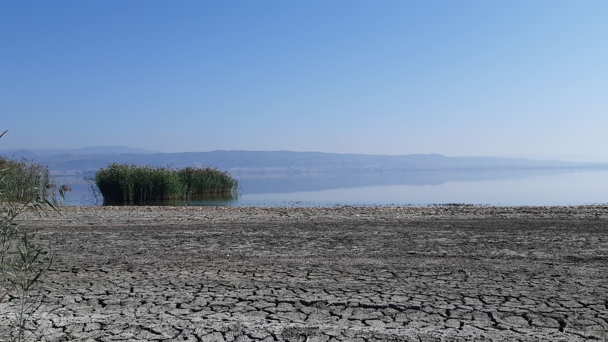 psaria-koroneia3.jpg psaria-koroneia3.jpg