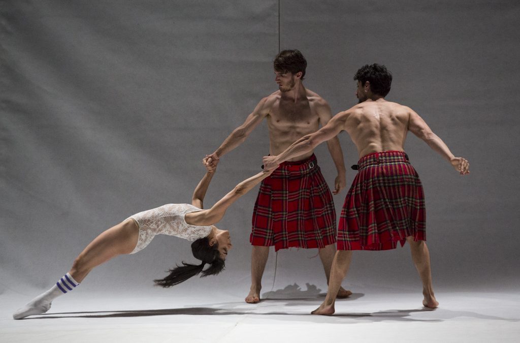 sylphidarium.jpg sylphidarium.jpg