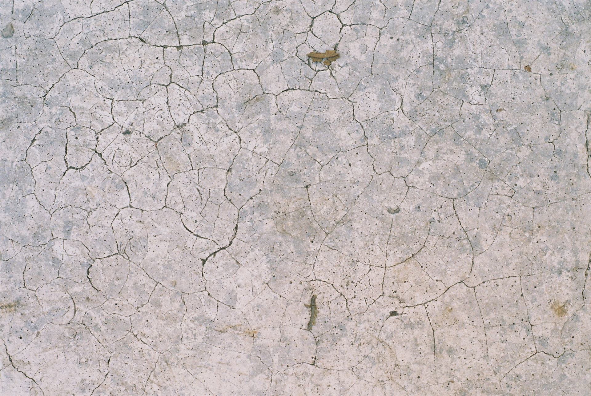 _fb-perasma-leptomereia-egkatastasi-2019-web.jpg _fb-perasma-leptomereia-egkatastasi-2019-web.jpg