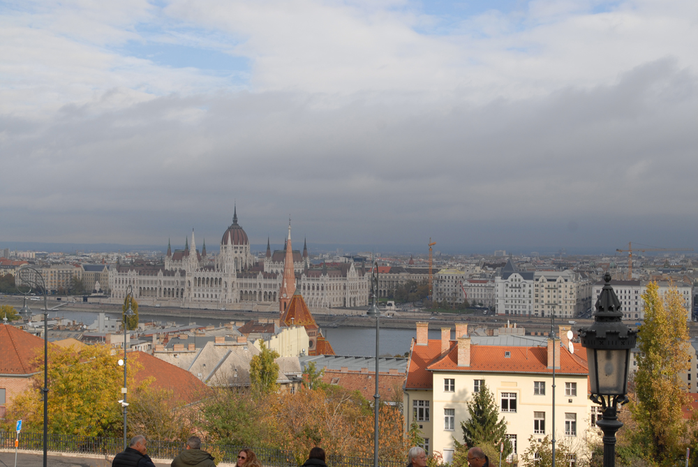 dsc_0056.jpg dsc_0056.jpg