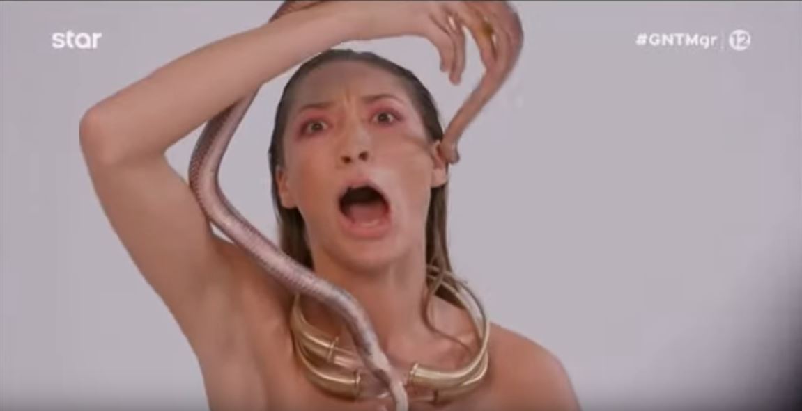 gntm.jpg gntm.jpg