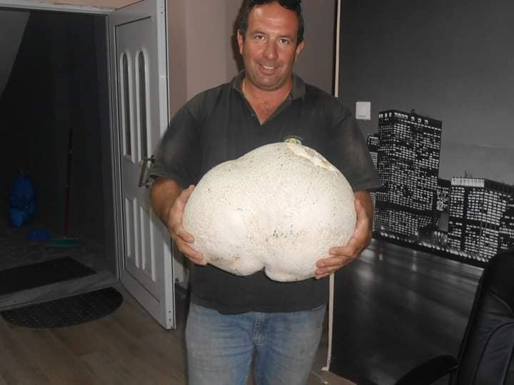 manitari-1.jpg manitari-1.jpg