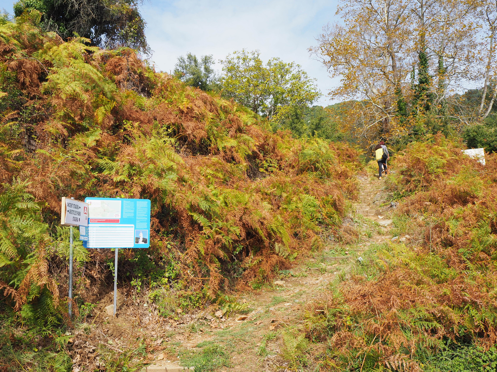 pa102703.jpg pa102703.jpg