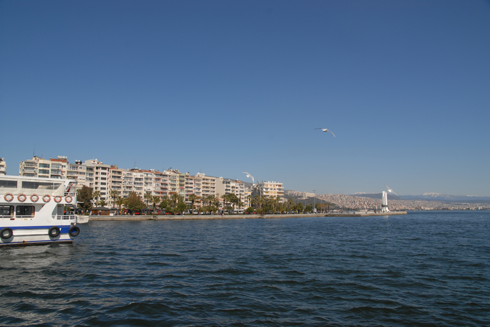 dsc_0030.jpg dsc_0030.jpg