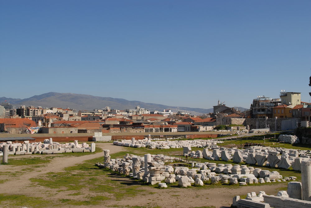 dsc_0039.jpg dsc_0039.jpg