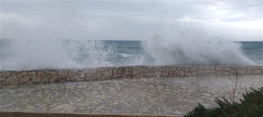 kakokairia-2zante.jpg kakokairia-2zante.jpg