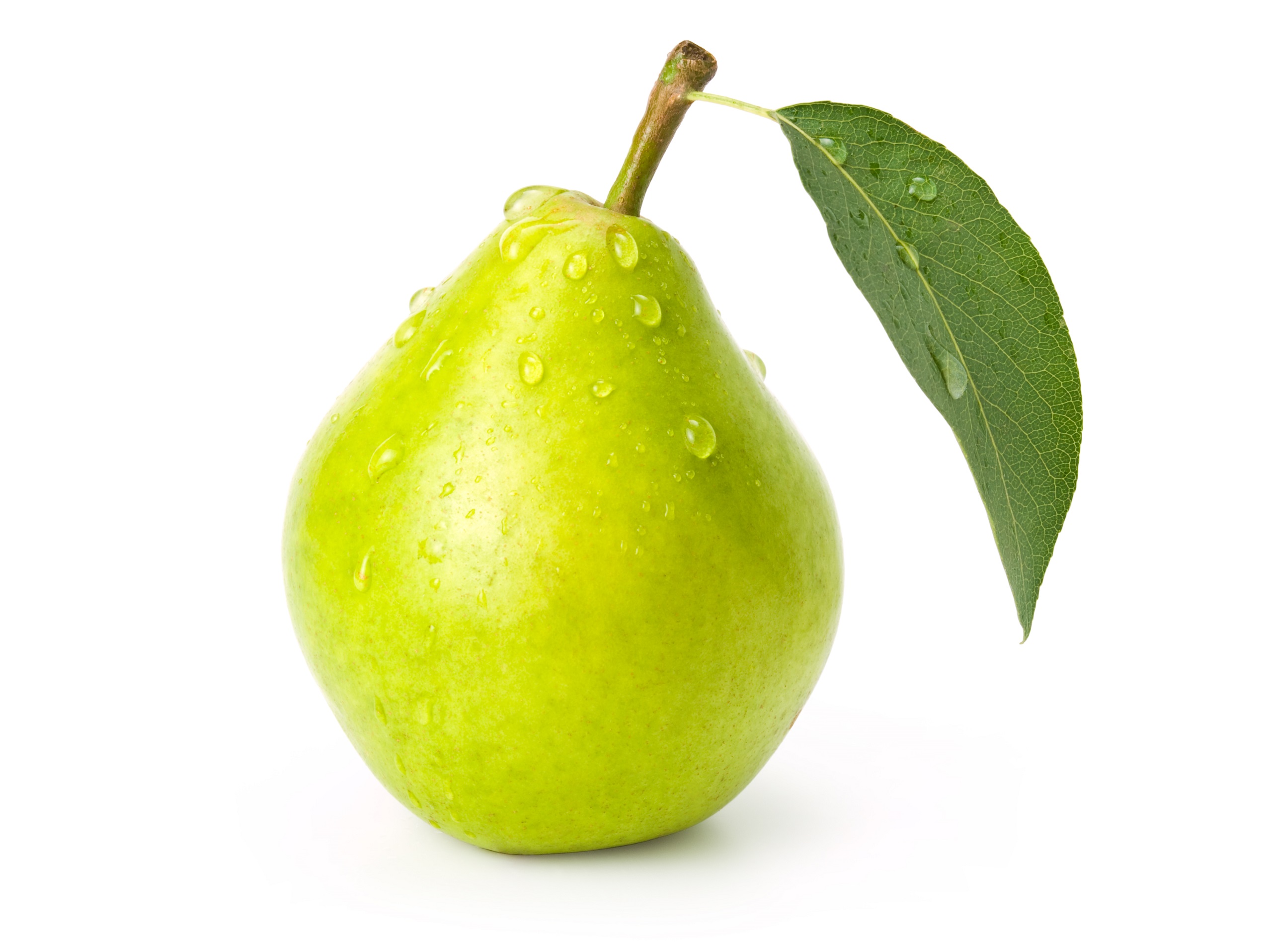 pearis.jpg pearis.jpg