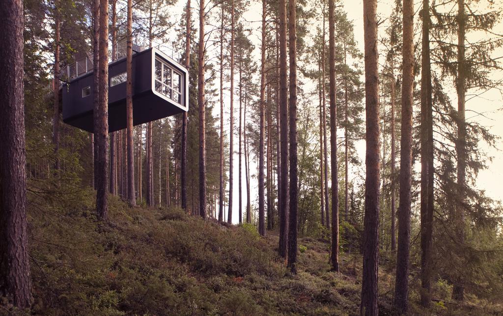 treehotel.jpg Treehotel