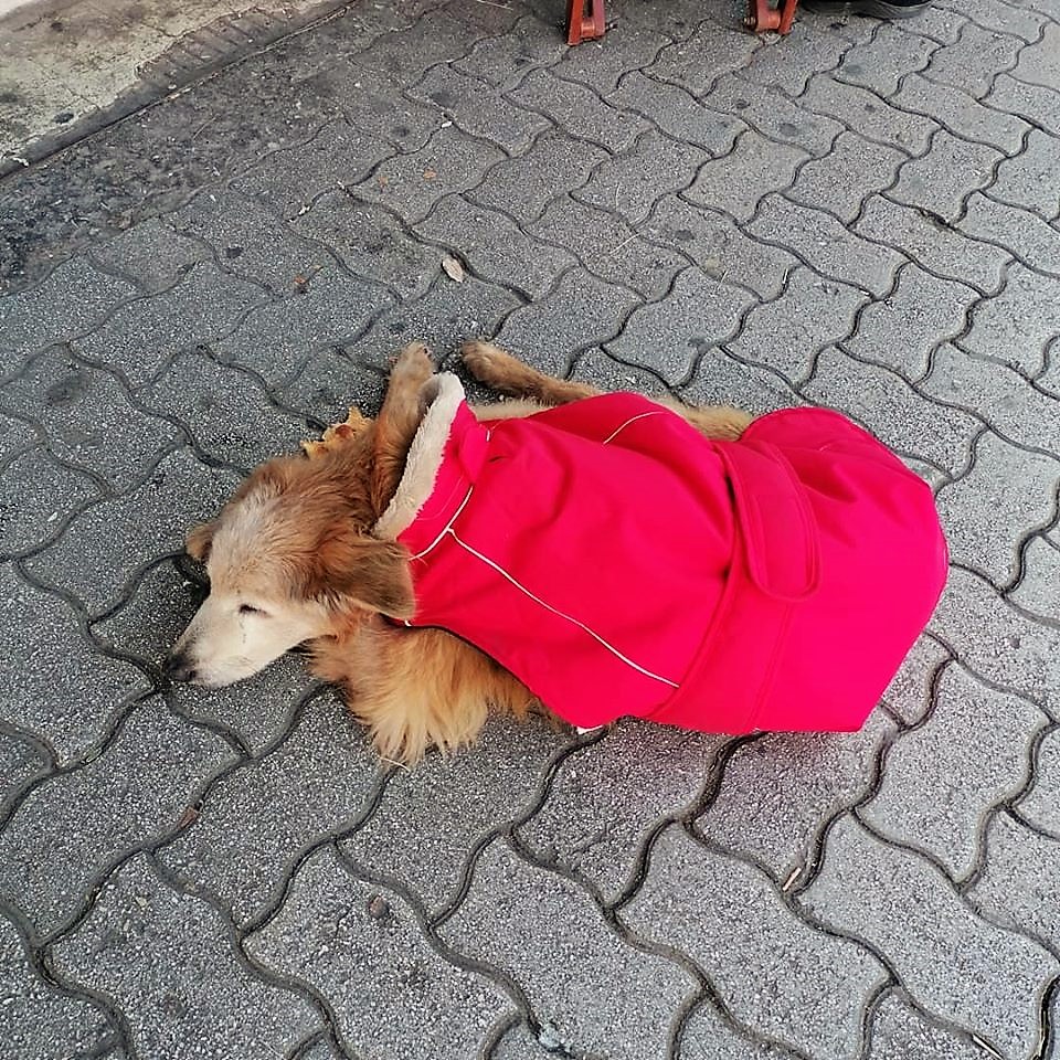 2.jpg 2.jpg
