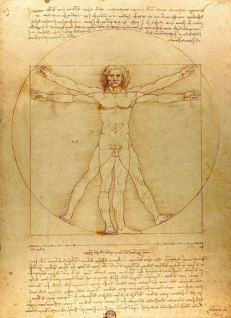 da_vinci_vitruve_luc_viatour_cropped.jpg da_vinci_vitruve_luc_viatour_cropped.jpg