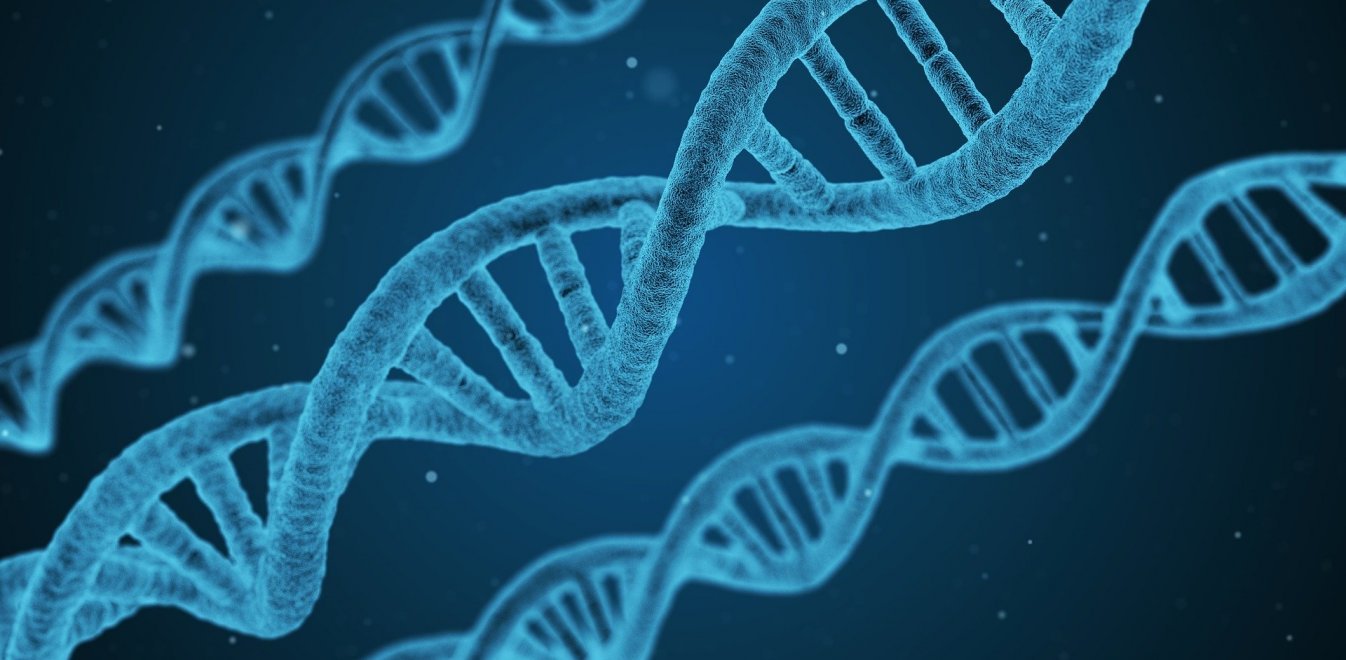 dna-1811955_1920.jpg dna-1811955_1920.jpg
