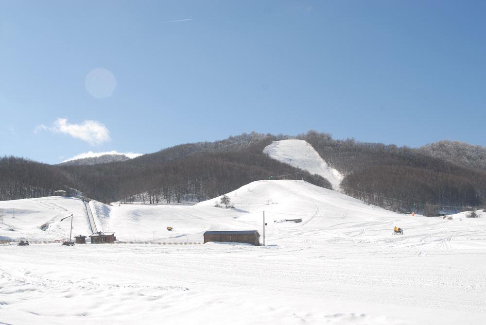 dsc_0003.jpg dsc_0003.jpg