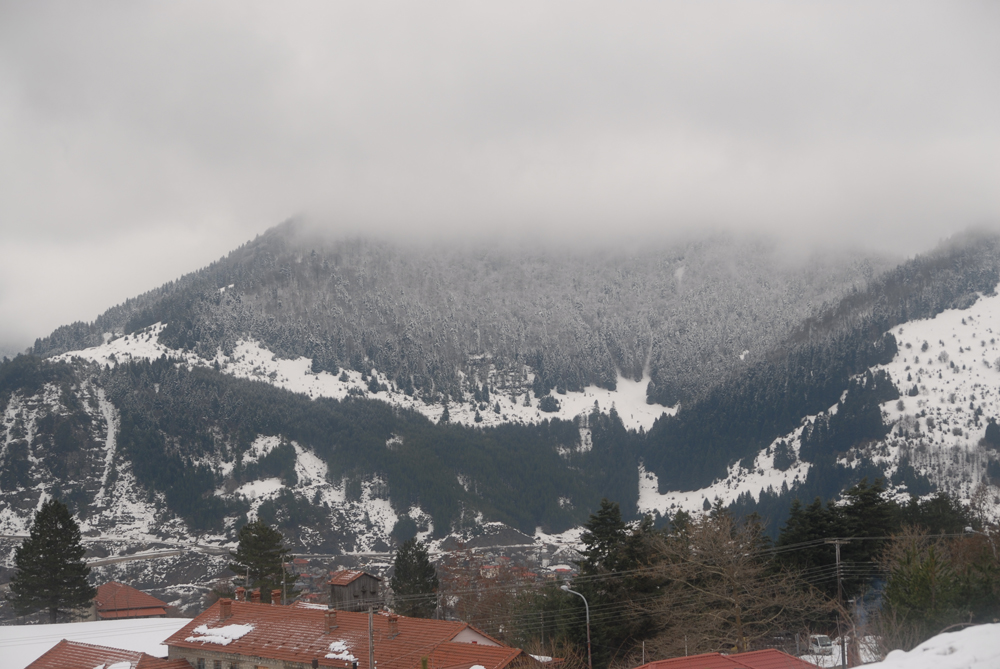 dsc_0025.jpg dsc_0025.jpg