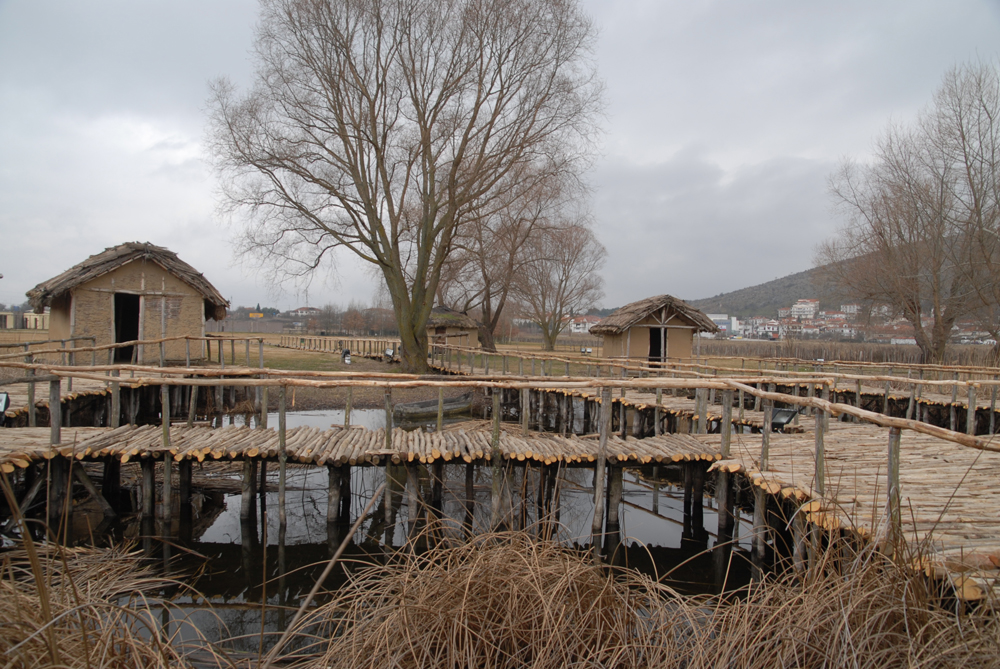 dsc_0044.jpg dsc_0044.jpg