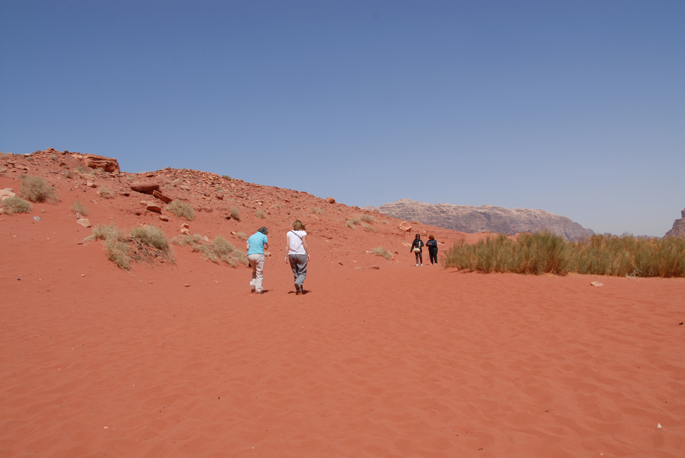 dsc_0102.jpg dsc_0102.jpg