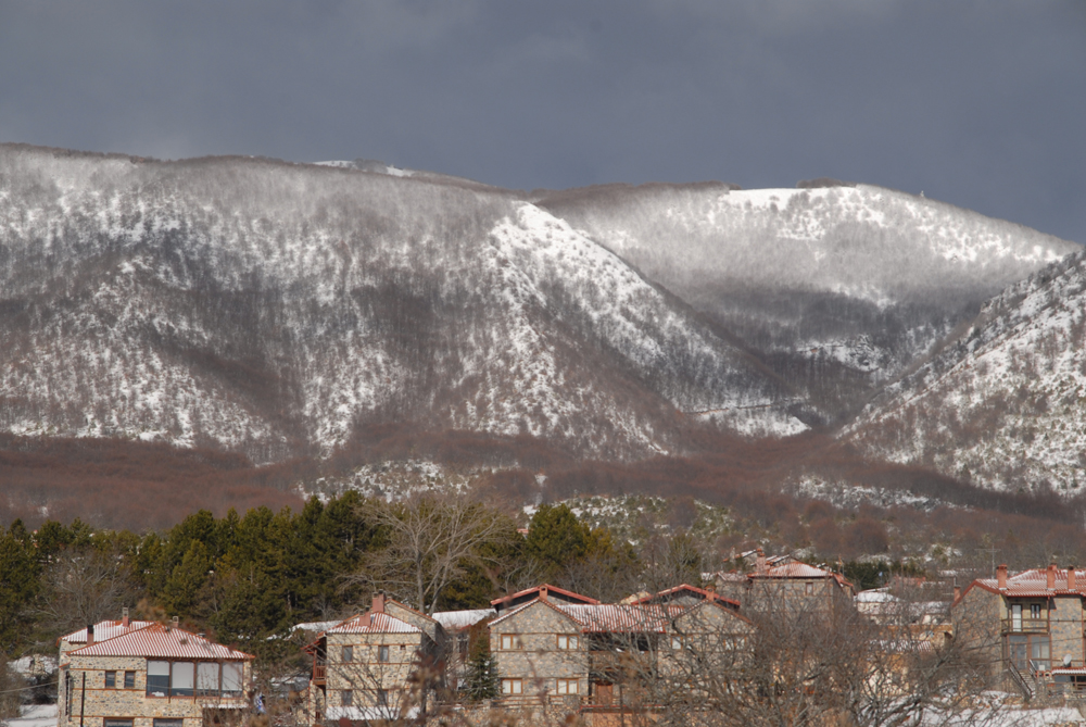 dsc_0104.jpg dsc_0104.jpg